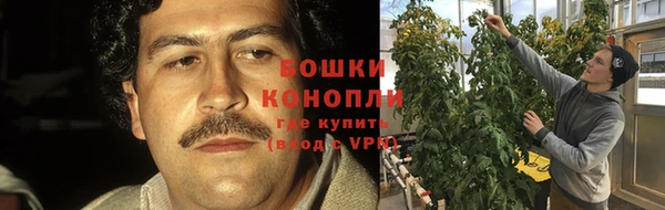 COCAINE Богданович