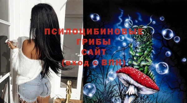 синтетический гашиш Богородицк