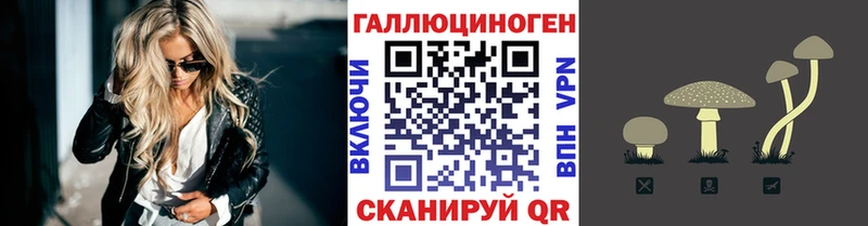 Псилоцибиновые грибы Psilocybine cubensis Воскресенск